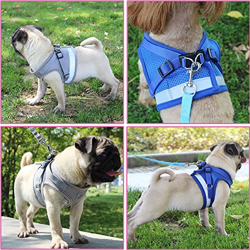 Petbuy Step in Dog Harness and Leash Set,Reflective Adjustable Soft Mesh Breathable Pet Vest Dog Harnesses Set, No Chock N...