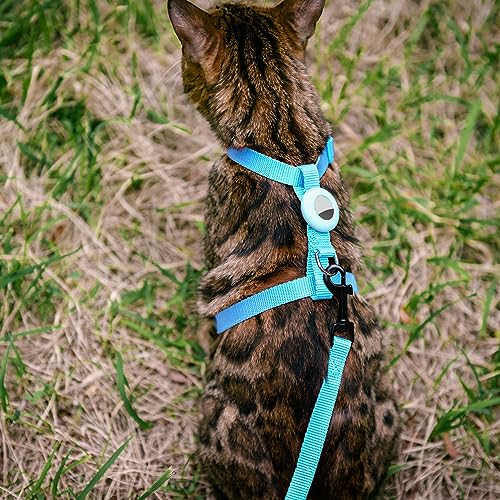 VKPETFR Cat Harness and Leash Set with Airtag Holder for Walking & Travelling, Escape Proof Cat Harness for Small Medium L...