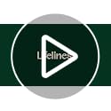 Lifelines Flameless Candle Aromatherapy Essential Oil Diffuser with 2 ClickWick Essential Oil Blends - Cordless & Waterles...