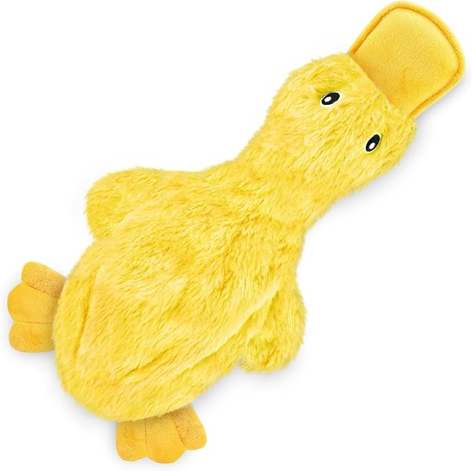 Best Pet Supplies Interactive Squeaky Dog Chew Toy, Ideal Dog Toys for Chewers, Small, Medium & Large Dogs, and Fetch Love...
