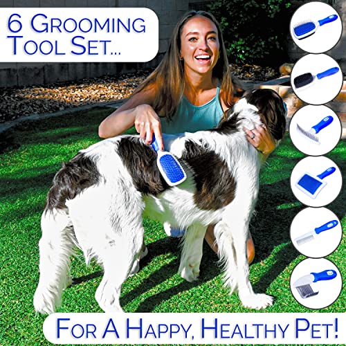 Horicon Pet 6 In 1 Premium Dog Brush Set - Dog Grooming Brushes - Ball Pin & Bristle Brush, Curved Blade Dematting Comb, S...