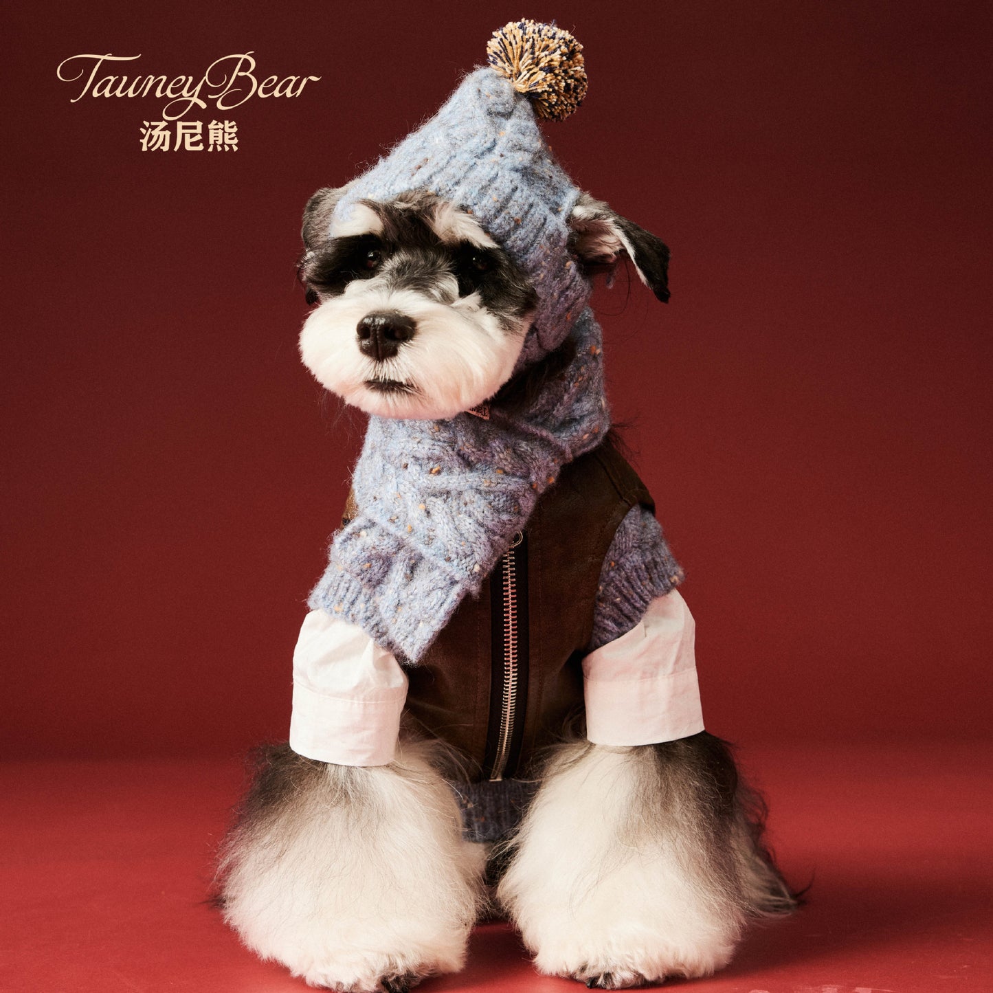 Pet Dog Supplies Accessories Wool Hat Scarf