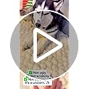TGODGPY Pet Couch Cover for Dogs Washable Pet-Friendly Dog Sofa Protector for Furniture Boho Pets Mat for Couches and Sofas