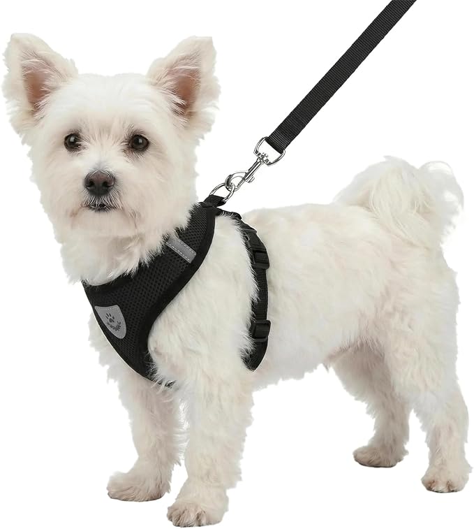 Hypeety Pet Dog Vest Harnesses Puppy Cotton Polyester Adjustable Dog Mesh Harness Travel Chest Strap Vest Reflective (S, B...