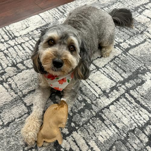 SPOT Dura-Fused Leather Rabbit Dog Toy – Durable Real Leather & Jute Chew Toy with Squeaker, Double-Stitched for Moderate ...