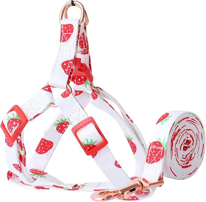 Harikaji Pet Harness with Leash, Fruit Style Dog Harness Pull On Adjustable Lightweight Cat Harness Leash Set for Cat Pupp...