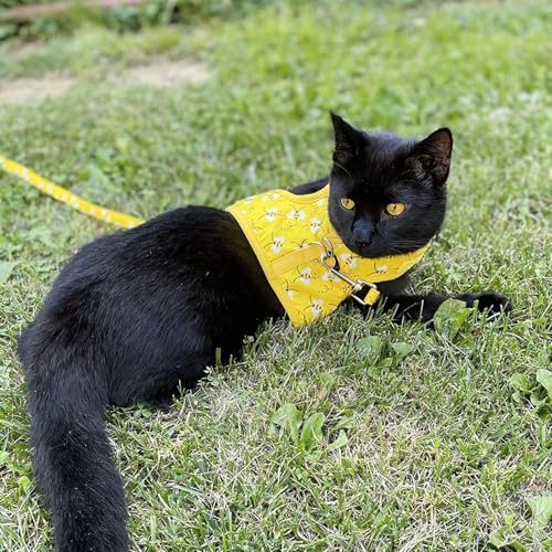 BINGPET Cat Harness with Leash and Collar for Walking - Escape Proof with 59 Inches Leash - Adjustable Soft Vest Harnesses...