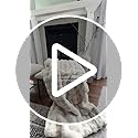 Cozy Bliss Faux Fur Throw Blanket for Couch, Fuzzy Soft Plush Thick Bubble Blanket for Sofa Bedroom Living Room, 50 * 60 I...