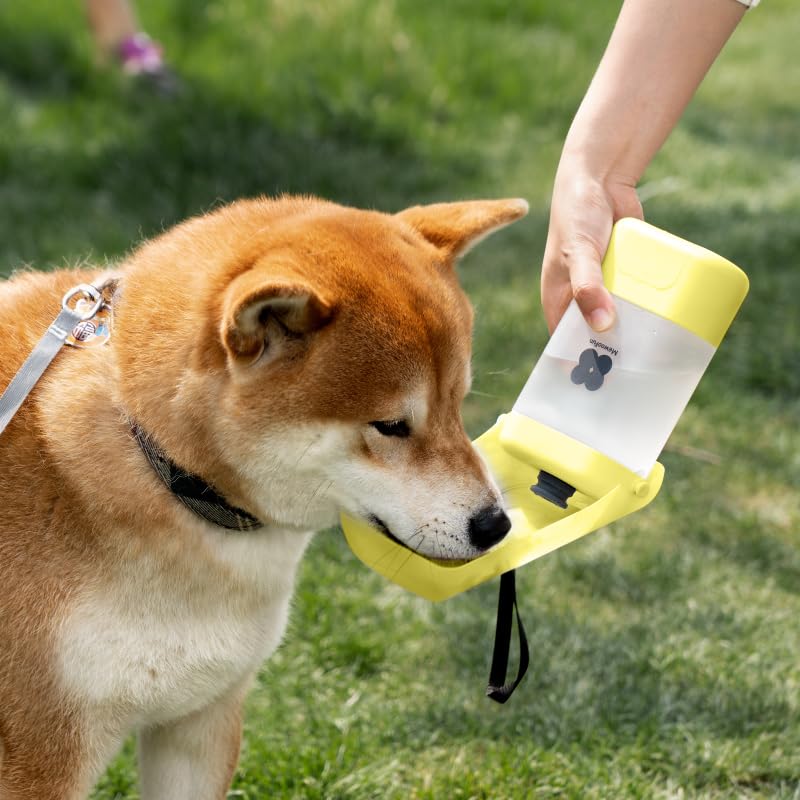 All-in-One Portable Dog Water Bottle with Treat Container, Foldable Bowl, Waste Bag Dispenser & Crossbody Strap – Leak-Pro...