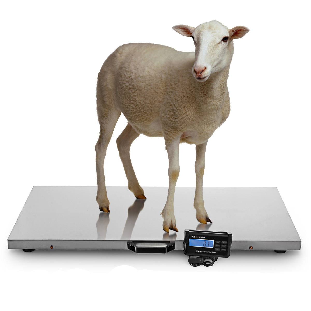 Precision Package Electronic Scale Portable Luggage Scale 500kg Pet Platform Scale