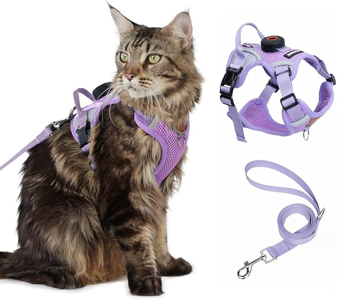 Cat Harness and Leash Set with AirTag Holder: Upgraded Escape Proof Vest with Lead for Small Dog Puppy Large Cat Walking，S...