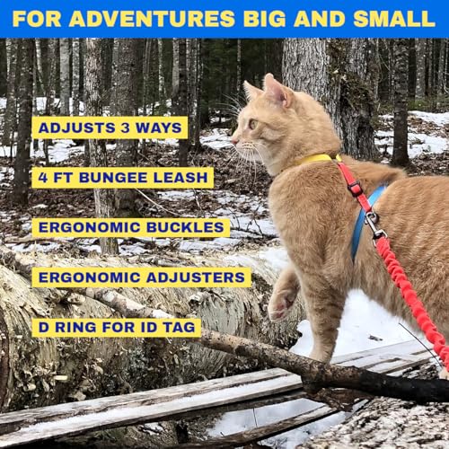 Travel Cat Harness and Bungee Leash Set - 2 in 1 Adjustable Escape Proof Cat Harness & Leash for Small, Medium, Large Cat...