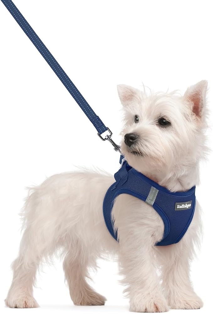 rabbitgoo Dog Harness Small Sized and Leash Set, Step in Soft Light Puppy Vest, Breathable Mesh Pet Harness, Reflective fo...