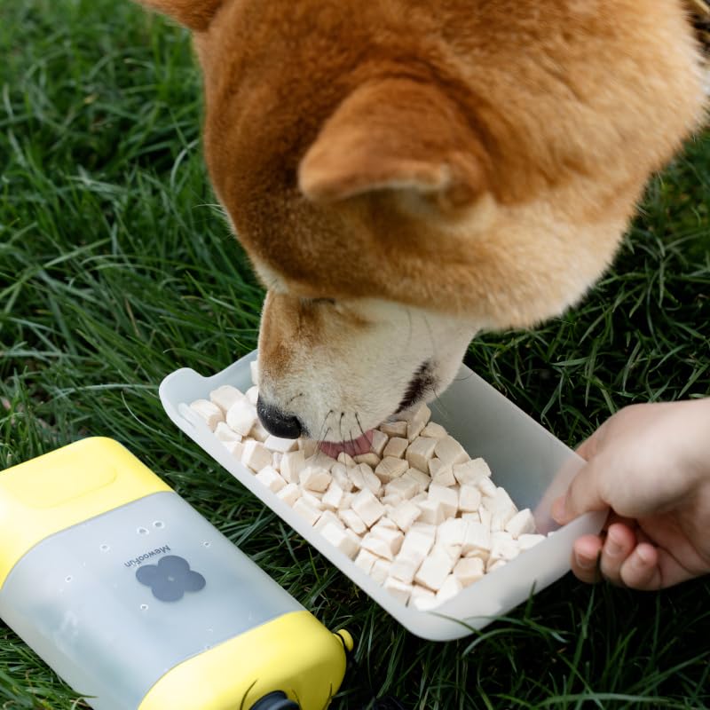 All-in-One Portable Dog Water Bottle with Treat Container, Foldable Bowl, Waste Bag Dispenser & Crossbody Strap – Leak-Pro...