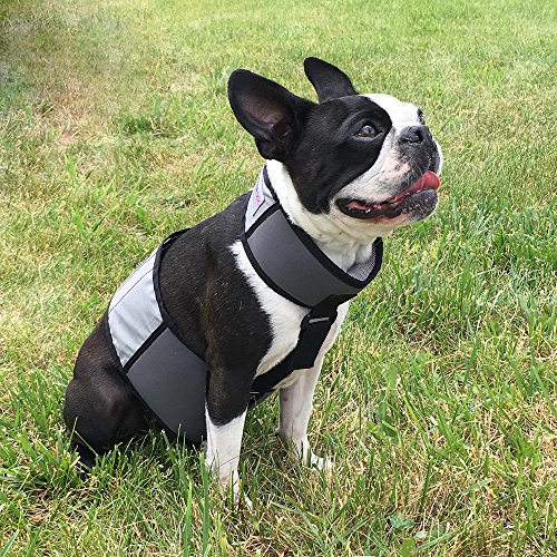CoolerDog Dog Cooling Vest & Cooling Collar – Ice Vest for Hot Weather Heat Relief, Re-Freezable Pure Water Inserts (Small...