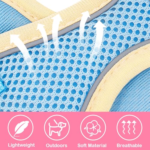Coppthinktu Dog Harness with Leash Set for Small Sized Dogs Cats, No Pull Dog Harness Soft Mesh Cat Puppy Harness, Adjusta...