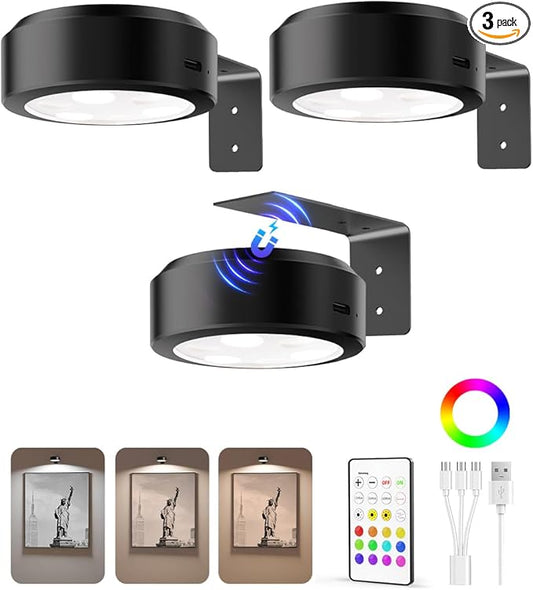 EZVALO Picture Lights for Wall, 2000mAh Rechargeable Battery Magnetic Poster Lights with 3 Color Temps & 12 RGB, Remote Di...