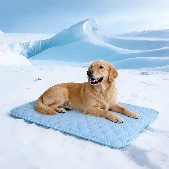 dgdgbaby Cooling Mat for Dogs Thicken Pad for Cats,Rabbit&Medium,Large Dogs Internal Arc-Chill Cool Fiber Dog Cooling Mat ...