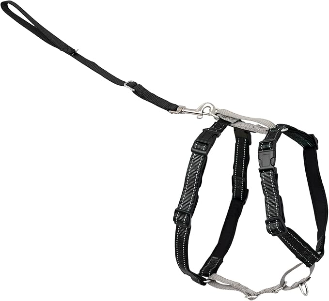 PetSafe 3-in-1 Harness - Comfortable Easy-Walk Dog Chest Harness with Front Leash Attachment to Reduce Pulling, Choking & ...