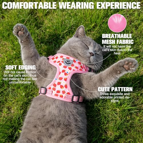 EXPAWLORER Escape Proof Cat Harness and Leash Set - Soft Breathable Vest Harness with Adjustable for Kitten Puppy Outdoor ...