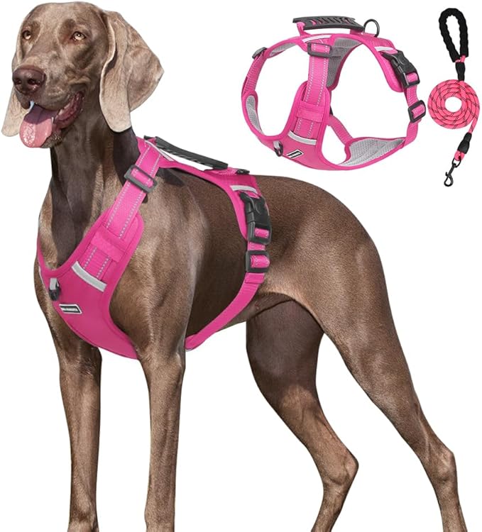 UNA MASCOTA Dog Harness No Pull Adjustable Reflective,for Medium and Large Small Dog with Leash 59.06in (Fuscia, XL)