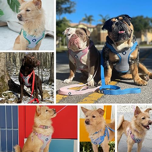 Blueberry Pet Essentials Back to Basics Reflective Dog Harness Vest, Mauve Orchid, Medium, Adjustable Harnesses for Dogs