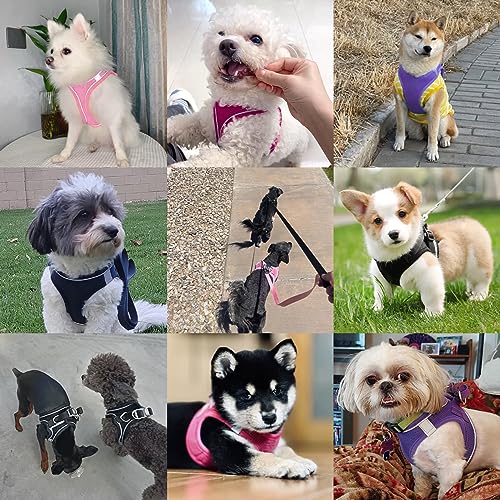 PWOD Dog Harness with Leash Set, No-Pull Step-in Reflective Pet Harness with 1 Leash Clips, Adjustable Soft Padded Easy Wa...