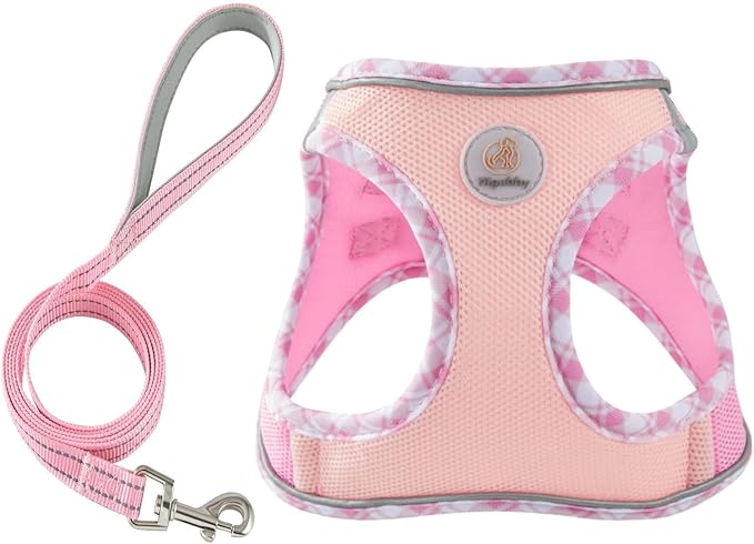 Hipubby Dog Harness Small Sized and Leash Set, No Pull Soft Mesh Puppy Vest, Reflective Breathable Lightweight Pet Harnes...