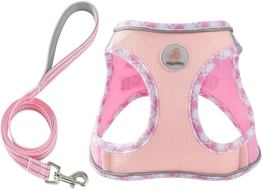 Hipubby Dog Harness Small Sized and Leash Set, No Pull Soft Mesh Puppy Vest, Reflective Breathable Lightweight Pet Harnes...