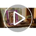 Kathfly 4 Pcs 5x7 Floating Picture Frame Acrylic Frames for Wall Mounted or Tabletop Standing Decorative Magnetic Photo Fr...