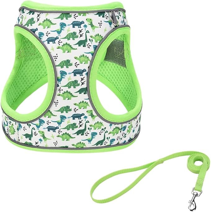 Step in Dog Harness and Leash Set, Flower Adjustable Easy Walk Puppy Harnesses, Soft Mesh Pet Vest Harness Small Size Dog ...