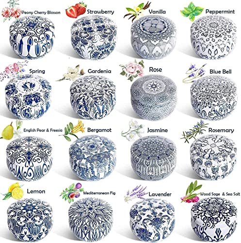 YOROXRG Scented Candles Gifts Set 16 Pack Soy Wax Travel Tin Jar Candles for Home 2.5 OZ for Mom for Christmas, Birthday, ...
