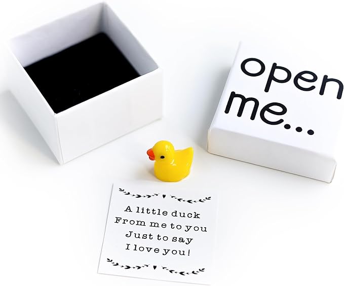 funfeel I Love You Gift, Duck Gift, Matchbox Gift, Gift For Boyfriend, Gift For Girlfriend, Valentine's Day Gift