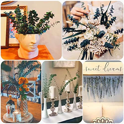 16 Pcs Preserved-Dried-Eucalyptus-Branches,17" Real Natural Fresh Eucalyptus Plant for Shower, Real Eucalyptus Bunch for V...