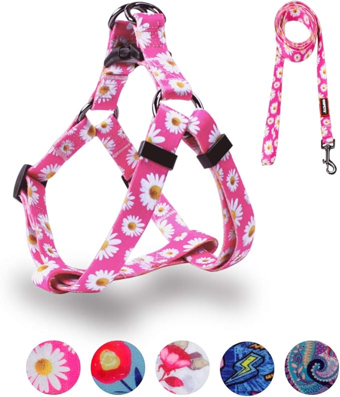 QQPETS Dog Harness Leash Set Adjustable Heavy Duty No Pull Halter Harnesses for Small Medium Large Breed Dogs Back Clip An...