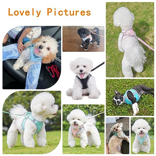 PETPUBGNZS Cute Plaid No Pull Dog Harness for Small Dogs Soft Mesh Small Dog Harness and Leash Set Easy Walk Step in Puppy...