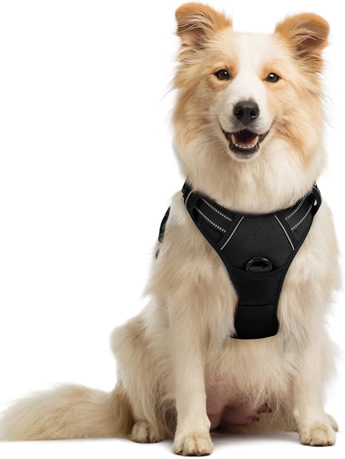 rabbitgoo Dog Harness No Pull with 2 Leash Clips, Adjustable Soft Padded, Reflective Oxford No Choke Pet Vest with Easy Co...