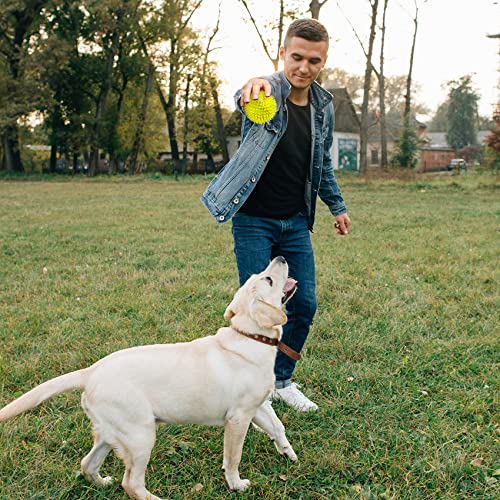 VITEVER 3.5” Squeaky Dog Toy Balls (6 Colors) Puppy Chew Toys for Teething, BPA Free Non-Toxic, Spikey Dog Balls for Mediu...