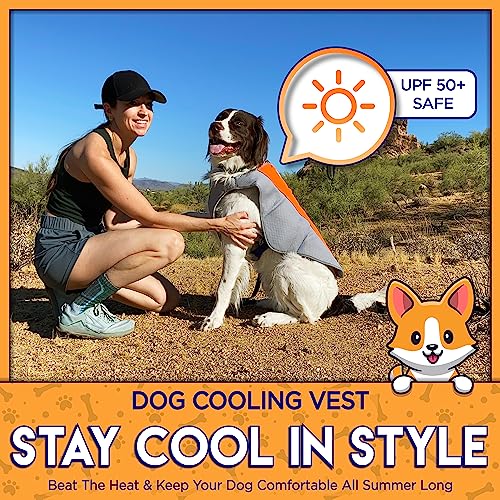 4LegsFriend Cooling Vest for Small, Medium to XLarge Dogs - Evaporative Vest for Hot Summer Days - Adjustable Cooling Jack...