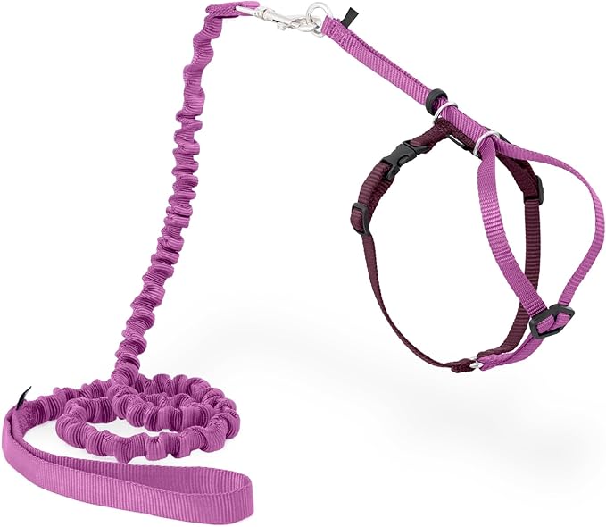 PetSafe Come With Me Kitty Cat Harness & Bungee Leash - Comfortable Cat Harness with Lightweight Bungee Leash for Outdoor ...
