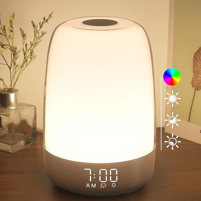 winshine Touch Wake Up Night Light with Sunrise Simulation Alarm Clock, 3 Ways Dimmable Warm White Bedside Lamp for Kid Be...