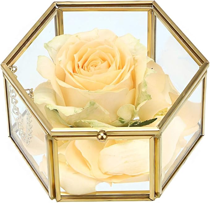 Hipiwe Preserved Flower Glass Box, Hexagon Glass Jewelry Decorative Bin, Ornate Trinket Display Organizer Case Keepsake Bo...
