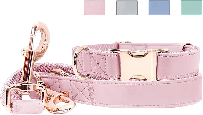 Soft Leather Dog Collar and Leash (6.6') Set - Stylish Rose Gold Heavy Duty Metal Buckle, 4 Adjustable Lengths Leash for S...