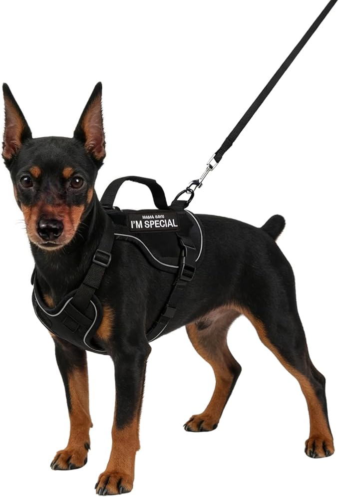 Tactical Dog Harness and Leash Set for Small Dogs - Military Puppy Vest Harness with Patches Vertical Handle Reflective Pe...