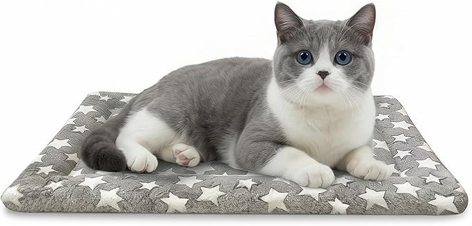 Dog Bed Mat, Dual-Sided Dog Crate Bed Mat - Ultra Soft & Machine Washable Kennel Pad for Cats and Extra Small Dogs, All-Se...