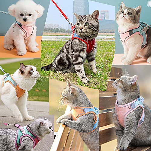 JSXD Cat Harness,Leash and Collar Set,Escape Proof Kitten Vest Harness for Walking,Easy Control Night Safe Pet Harness wit...