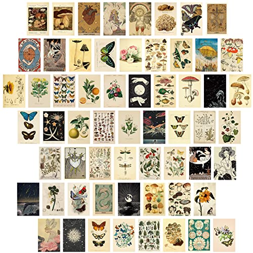 Containlol 60 Pcs Vintage Wall Collage Kit Maximalist Paintings Art Prints Botanical Illustration Tarot Aesthetic Vintage ...