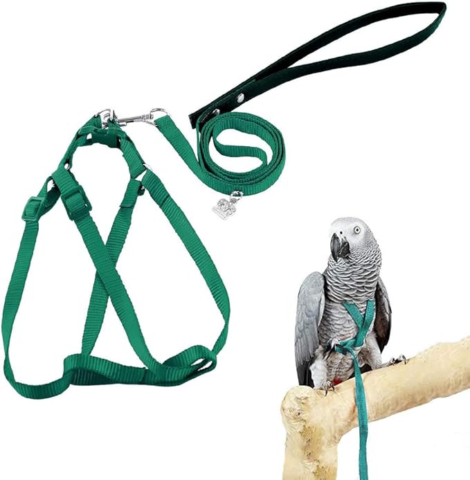 ASOCEA Adjustable Bird Harness and Leash for Yellow Naped Amazons Galah Cockatoos Small to Medium Breed Parrots Fits Birds...
