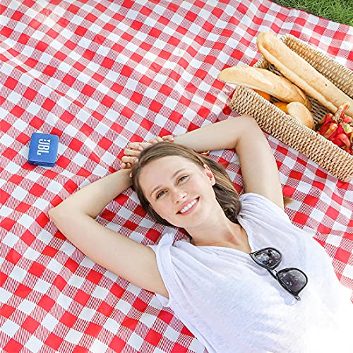 Lchkrep Picnic Blanket Beach Blankets 80"x60" Large Sandproof Waterproof Camping Portable Travel Blanket Play Mat for Outd...