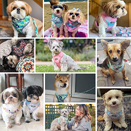 Blueberry Pet Soft & Comfy Made Well Cute Floral No Pull Mesh Dog Harness Vest in Light Blue, Chest Girth 17.5"-21", Smal...